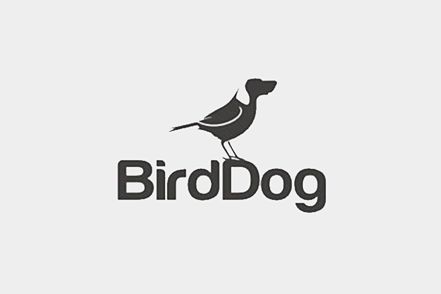 BirdDog